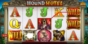 Hound hotel
